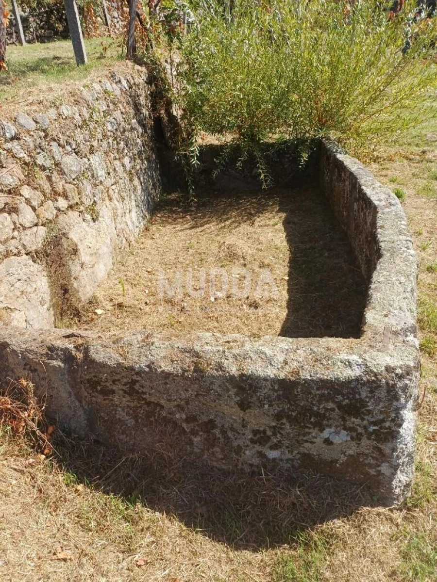 Terreno para Venda em Macieira de Cambra Foto 3