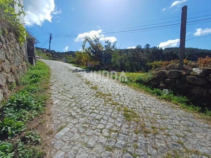 Terreno para Venda em Macieira de Cambra Foto 7