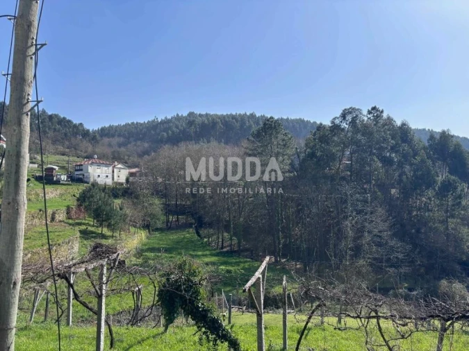 Terreno para Venda em Macieira de Cambra Foto 10