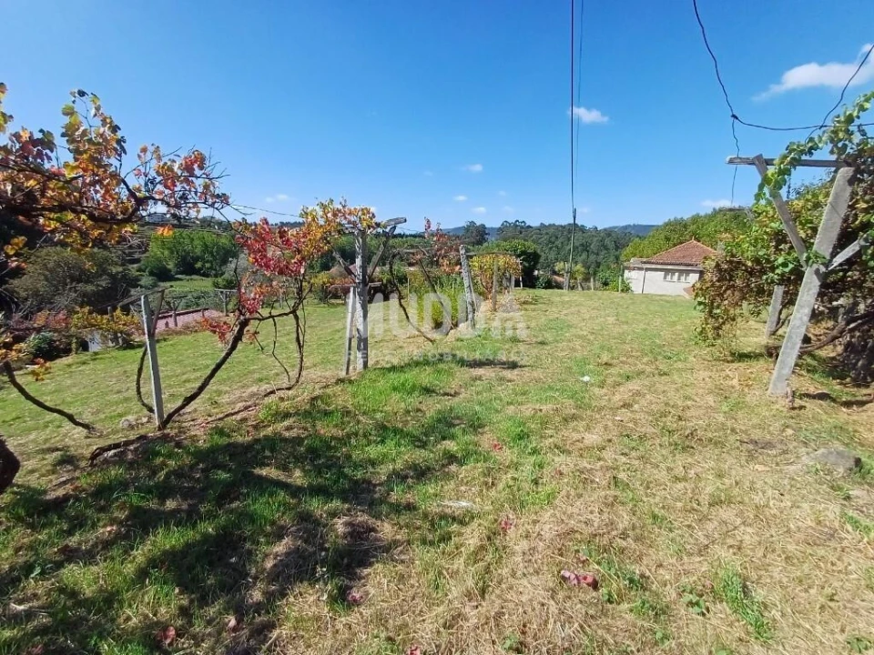 Terreno para Venda em Macieira de Cambra Foto 5
