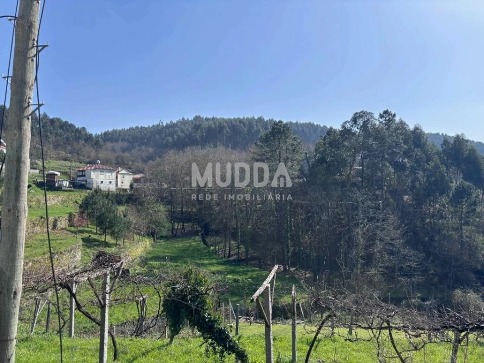 Terreno para Venda em Macieira de Cambra Foto 10