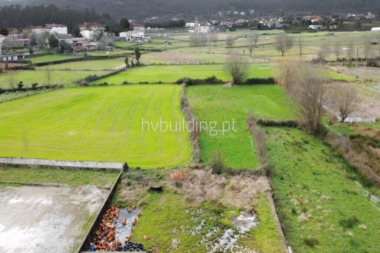 Armazém para Venda em Oliveira Foto 2