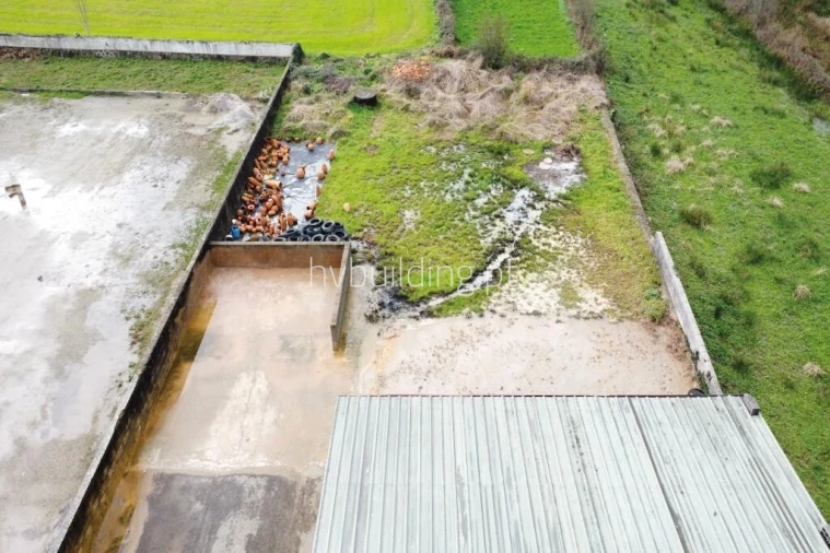 Armazém para Venda em Oliveira Foto 3