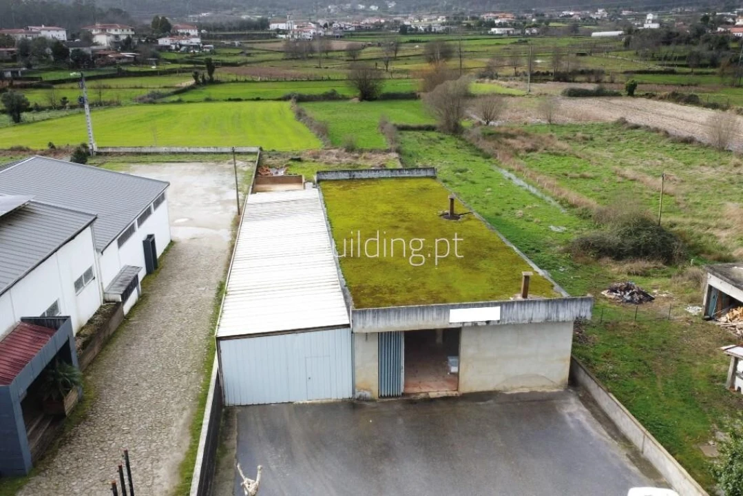 Armazém para Venda em Oliveira Foto 1