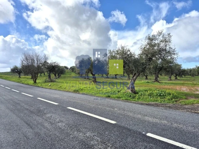 Terreno para Venda em Safara e Santo Aleixo da Restauração Foto 3