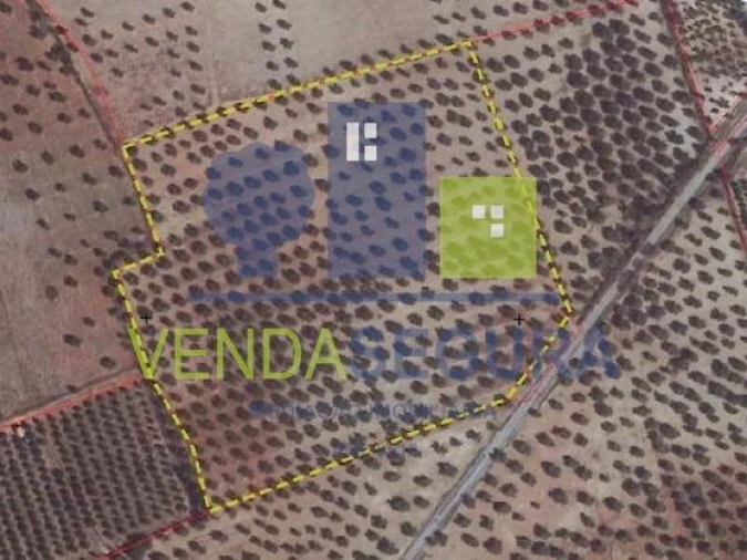 Terreno para Venda em Safara e Santo Aleixo da Restauração Foto 5