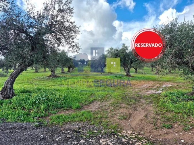 Terreno para Venda em Safara e Santo Aleixo da Restauração Foto 1