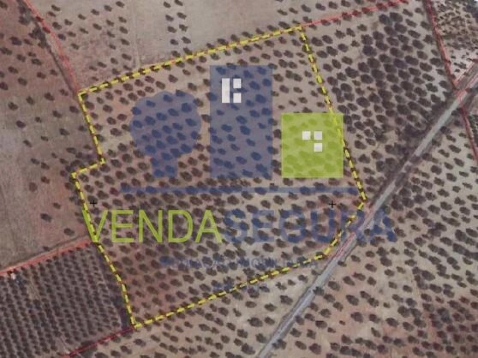 Terreno para Venda em Safara e Santo Aleixo da Restauração Foto 5