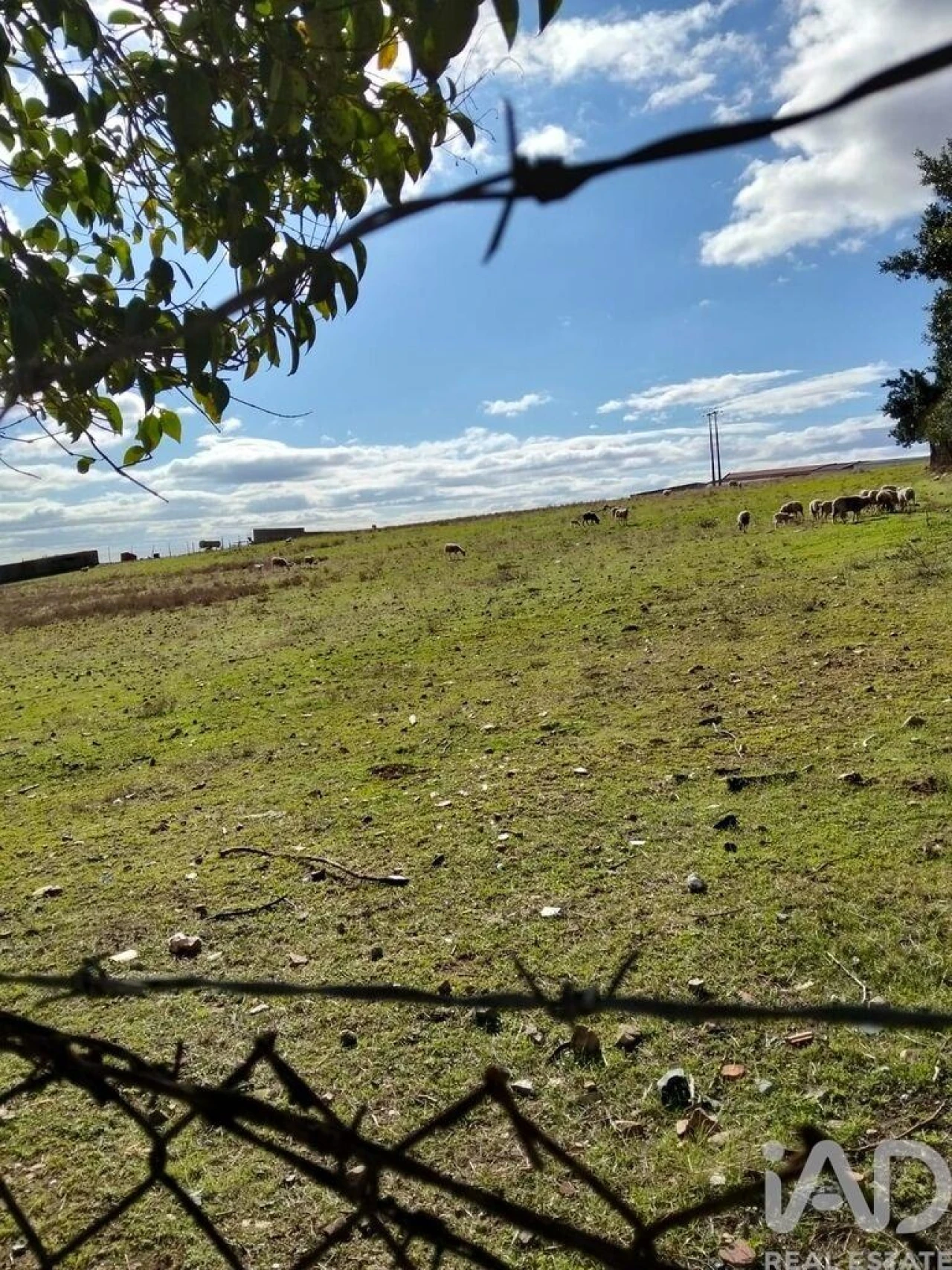 Terreno para Venda em Baleizão Foto 1