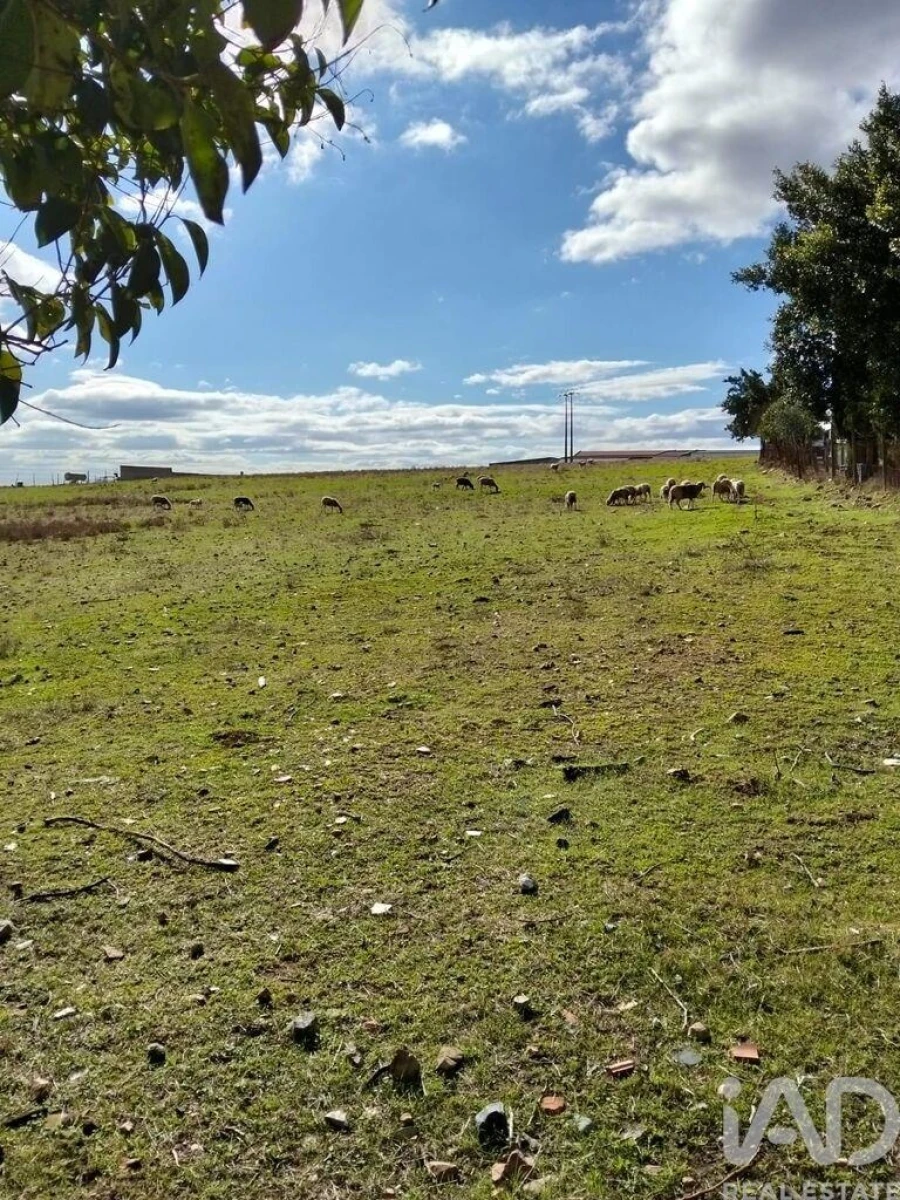Terreno para Venda em Baleizão Foto 2