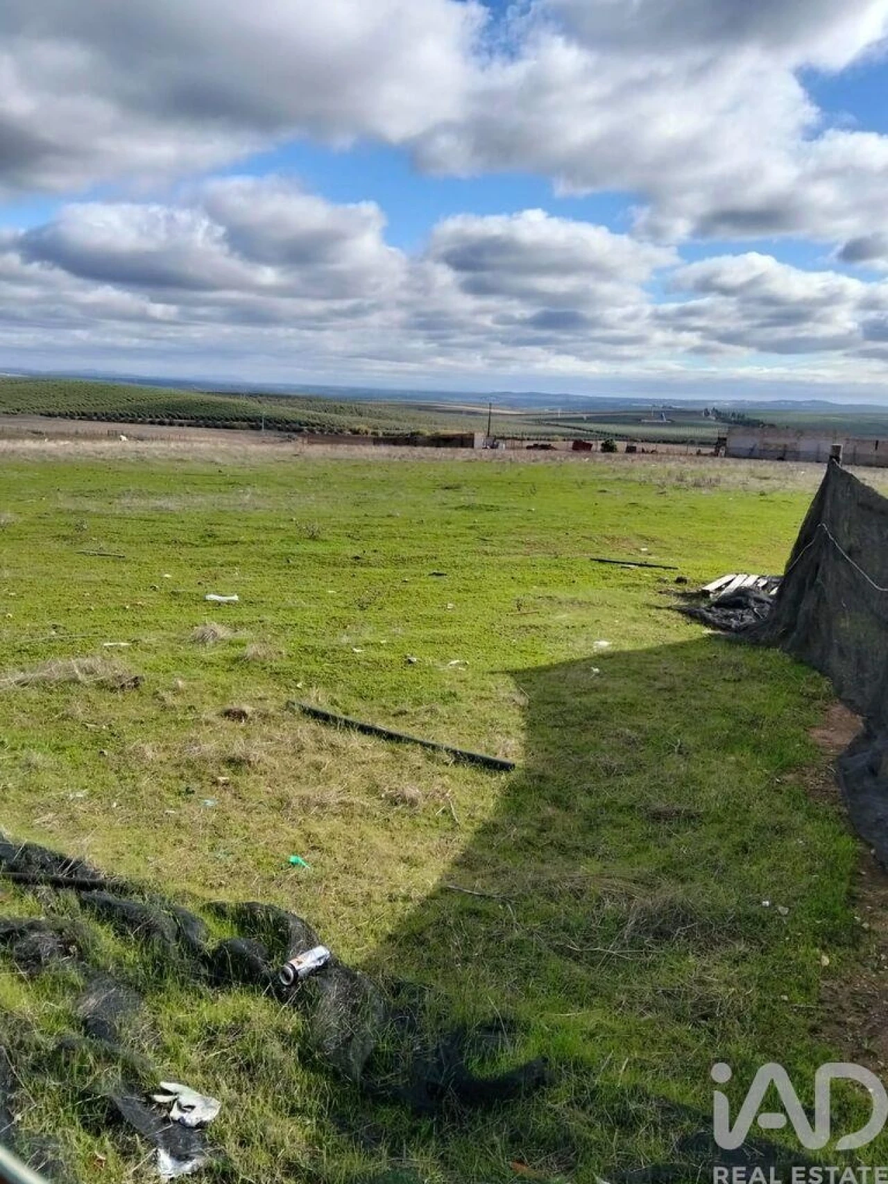 Terreno para Venda em Baleizão Foto 3