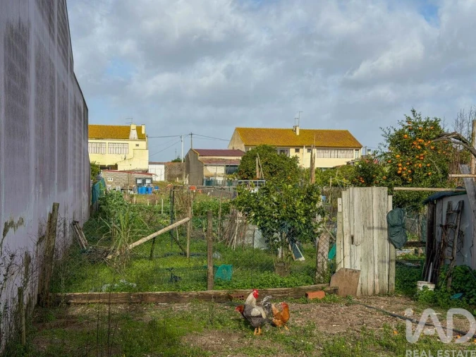 Terreno para Venda em Benfica do Ribatejo Foto 8