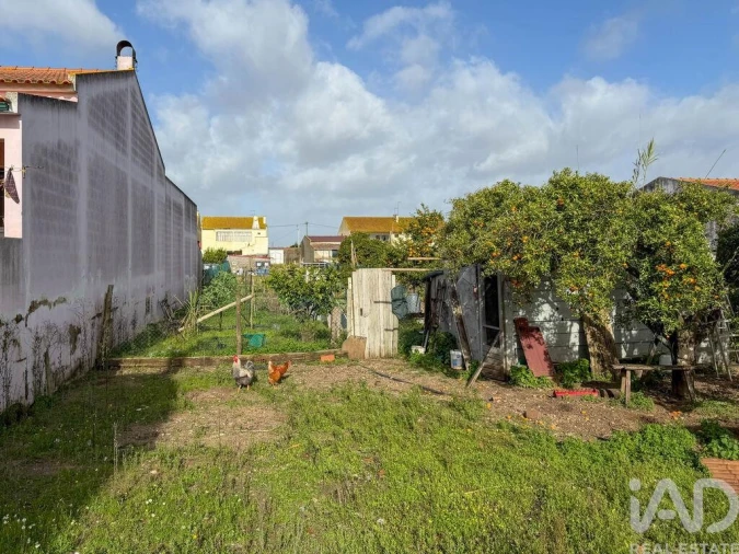 Terreno para Venda em Benfica do Ribatejo Foto 5