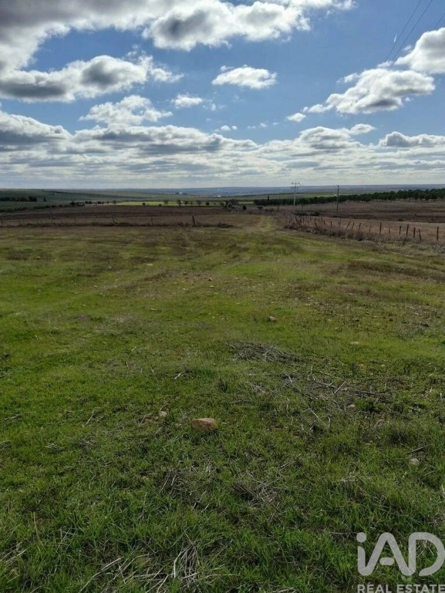 Terreno para Venda em Baleizão Foto 3