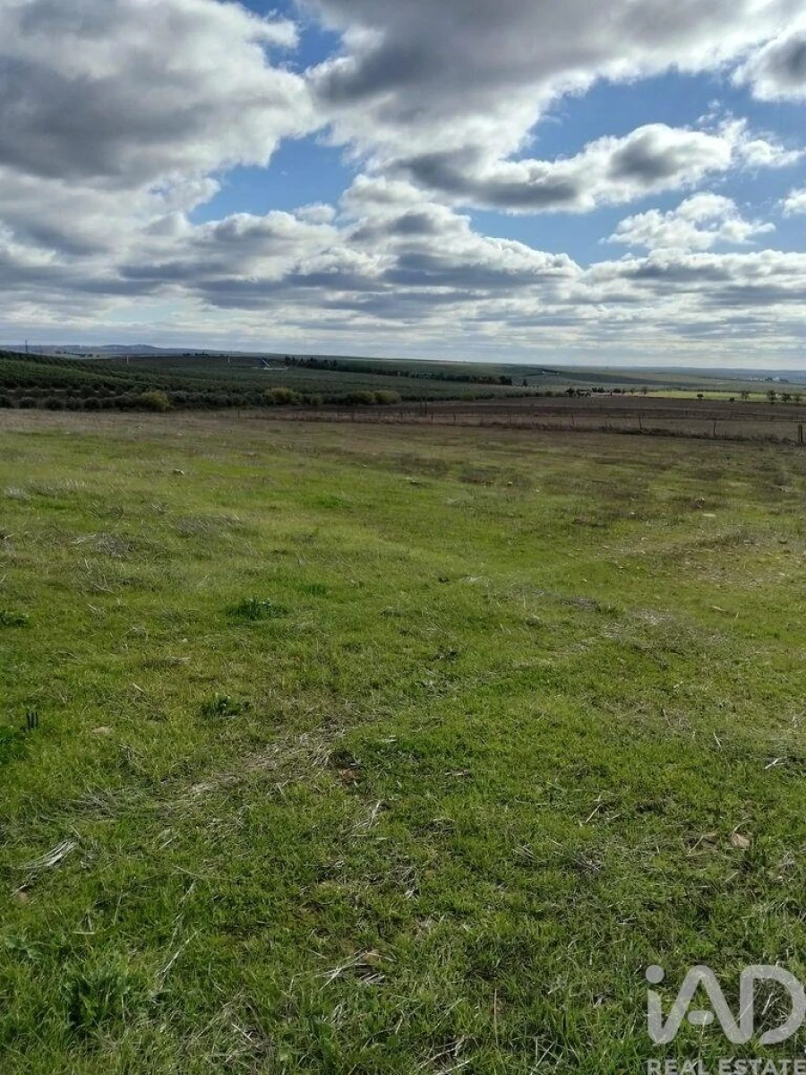 Terreno para Venda em Baleizão Foto 1