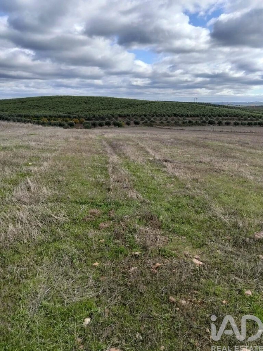 Terreno para Venda em Baleizão Foto 4
