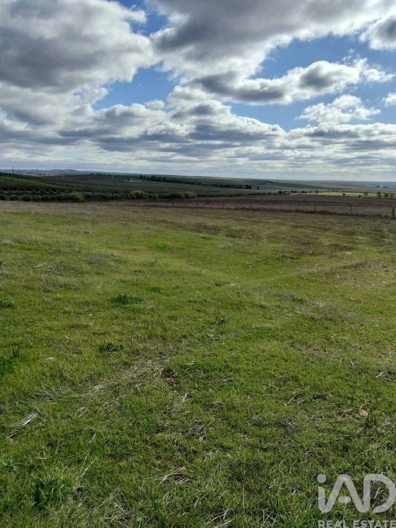 Terreno para Venda em Baleizão Foto 1