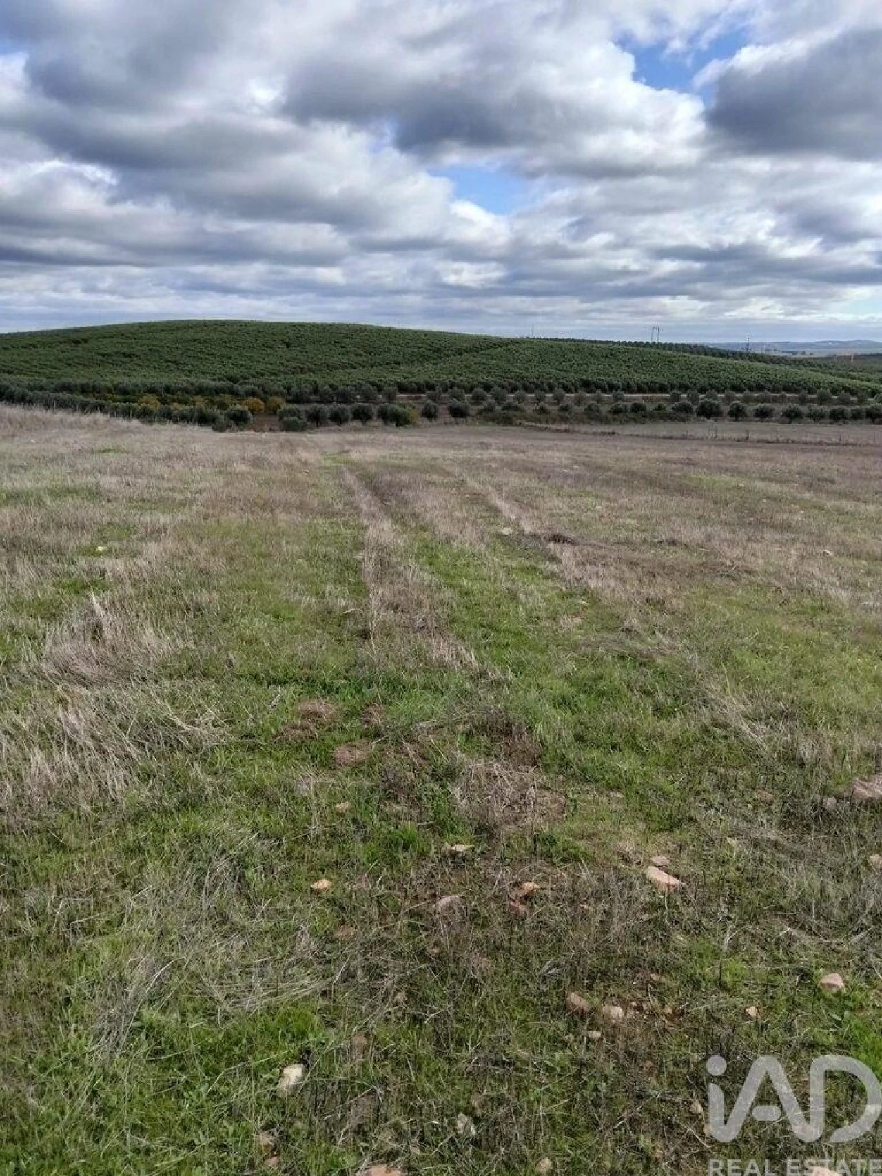 Terreno para Venda em Baleizão Foto 4