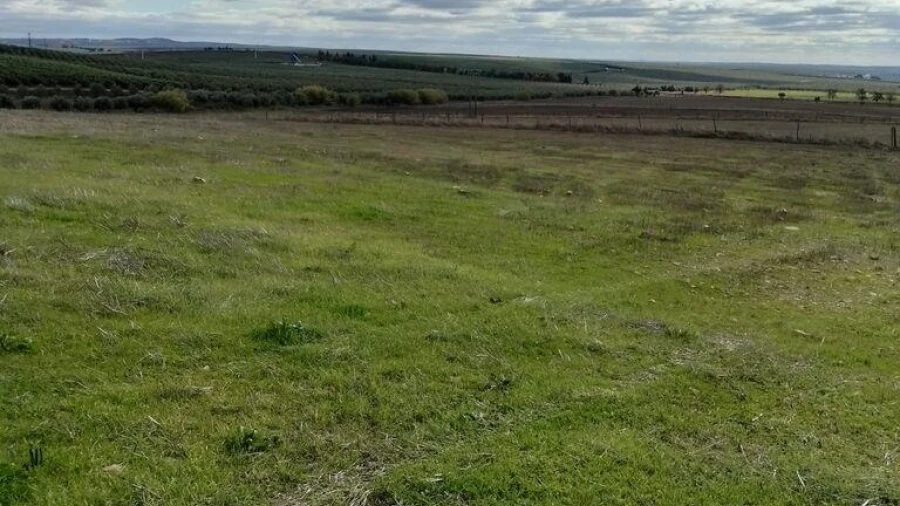 Terreno para Venda em Baleizão