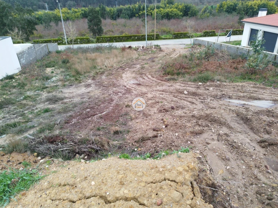 Terreno para Venda em Tamel (São Verissimo) Foto 7