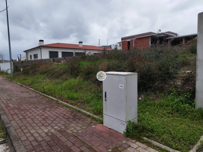 Terreno para Venda em Tamel (São Verissimo) Foto 3