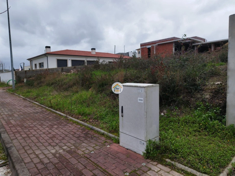 Terreno para Venda em Tamel (São Verissimo) Foto 3