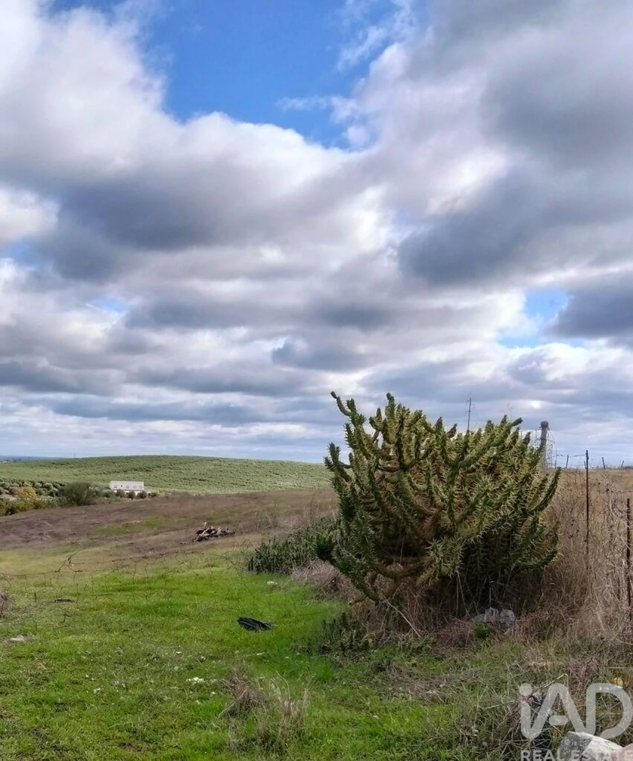 Terreno para Venda em Baleizão Foto 3