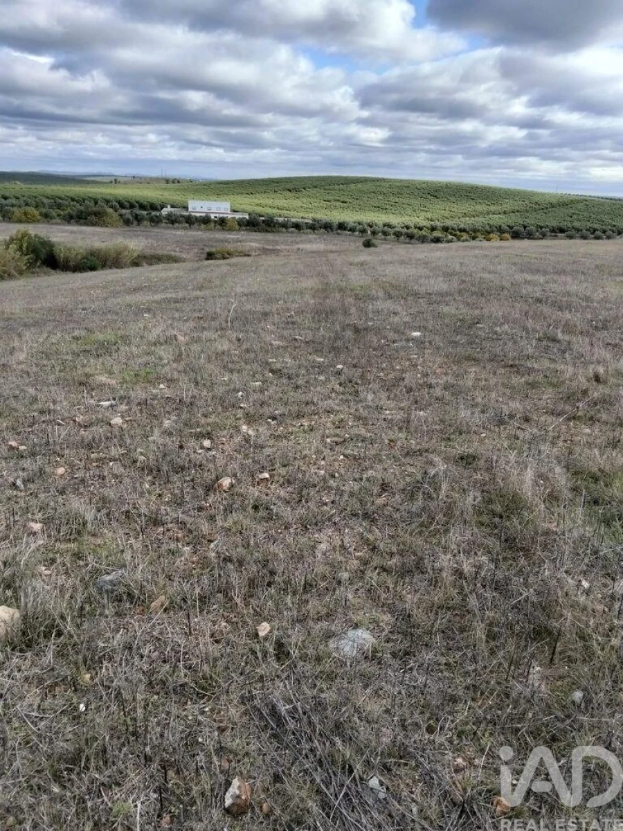 Terreno para Venda em Baleizão Foto 2