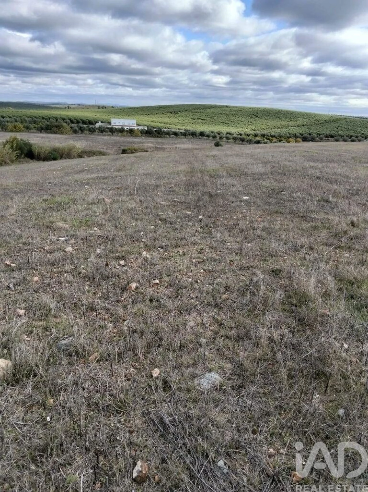 Terreno para Venda em Baleizão Foto 2