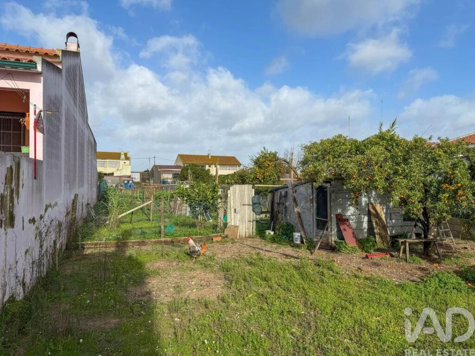 Terreno para Venda em Benfica do Ribatejo Foto 1