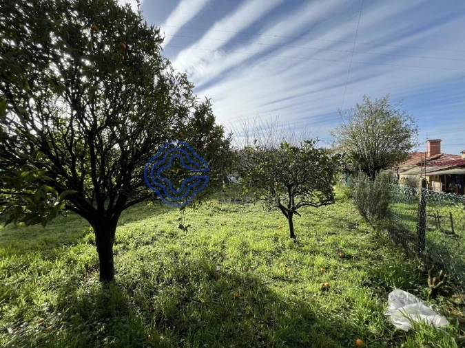 Moradia T1 para Venda em Vila de Cucujães Foto 28