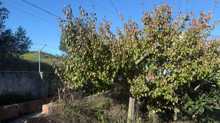 Moradia T3 para Venda em Venda do Pinheiro e Santo Estêvão das Galés Foto 9