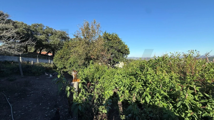 Moradia T3 para Venda em Venda do Pinheiro e Santo Estêvão das Galés Foto 22