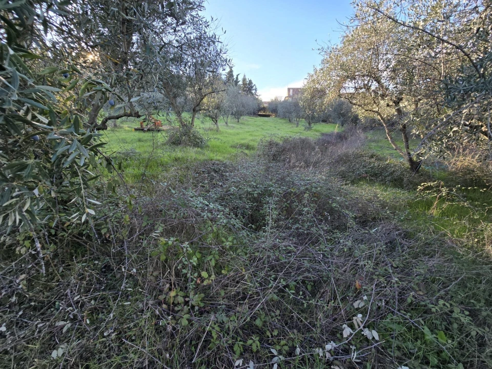 Quinta T4 para Venda em Aranhas Foto 30