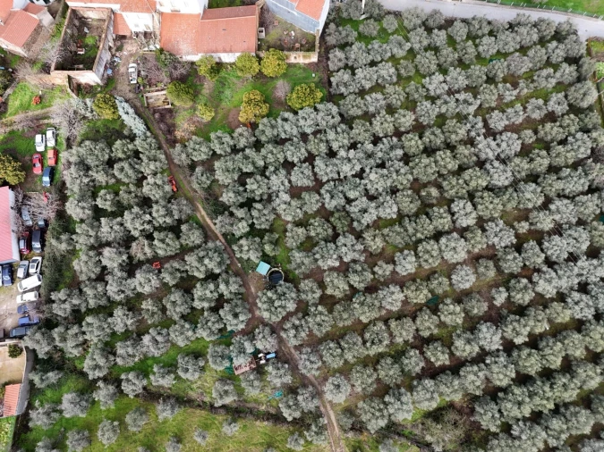 Quinta T4 para Venda em Aranhas Foto 49