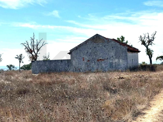 Terreno para Venda em Grândola e Santa Margarida da Serra Foto 5