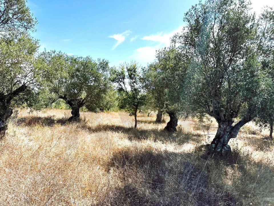 Terreno para Venda em Grândola e Santa Margarida da Serra Foto 7