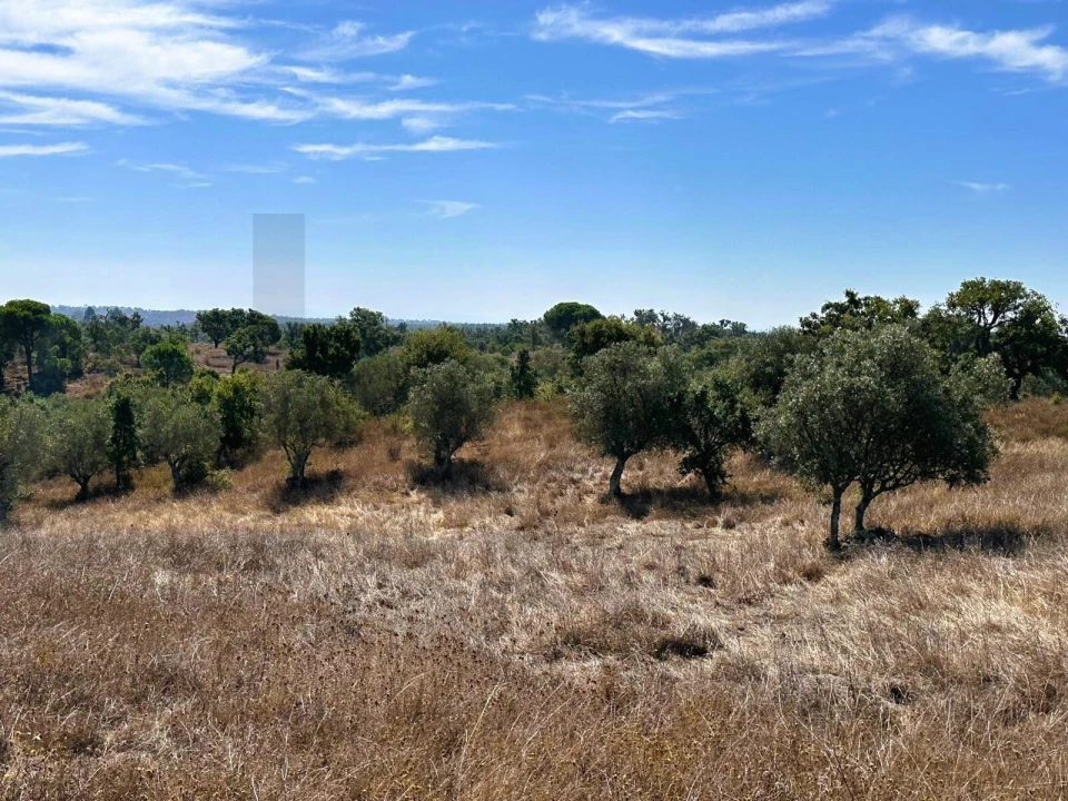 Terreno para Venda em Grândola e Santa Margarida da Serra Foto 10