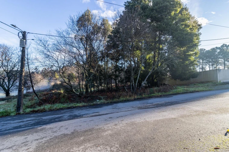 Terreno para Venda em Arrifana Foto 5