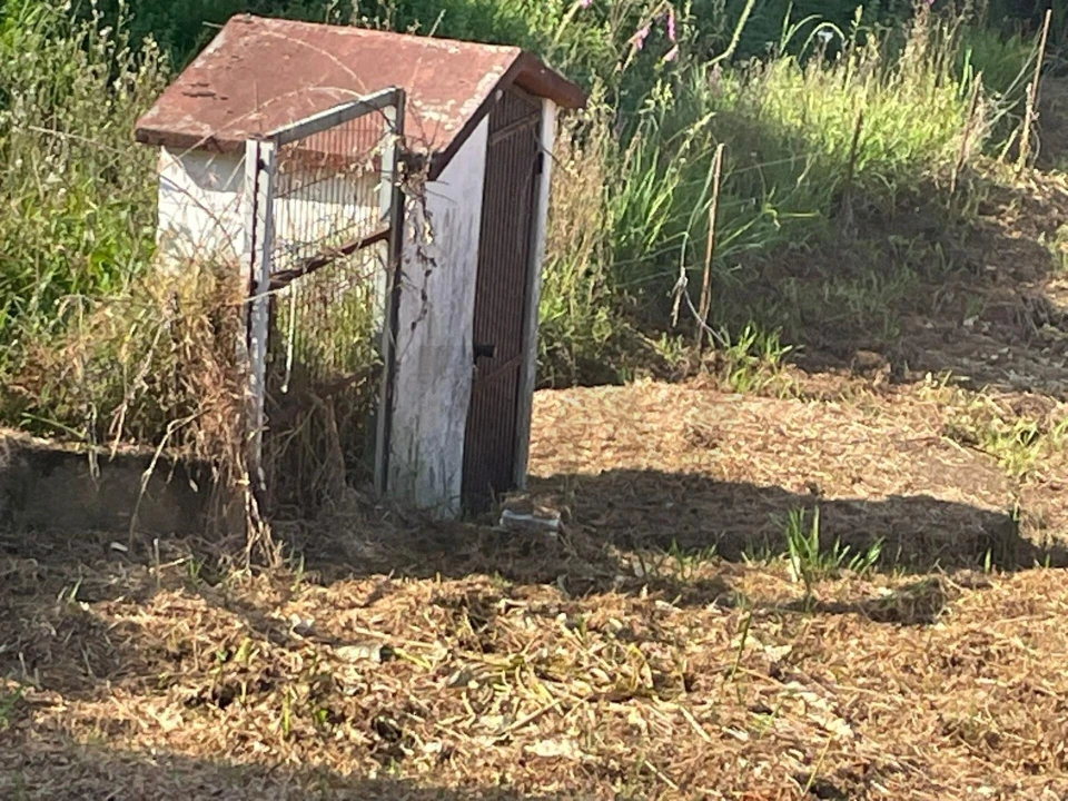 Terreno para Venda em Águeda e Borralha Foto 14