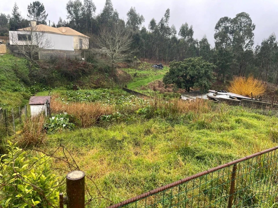 Terreno para Venda em Águeda e Borralha Foto 1