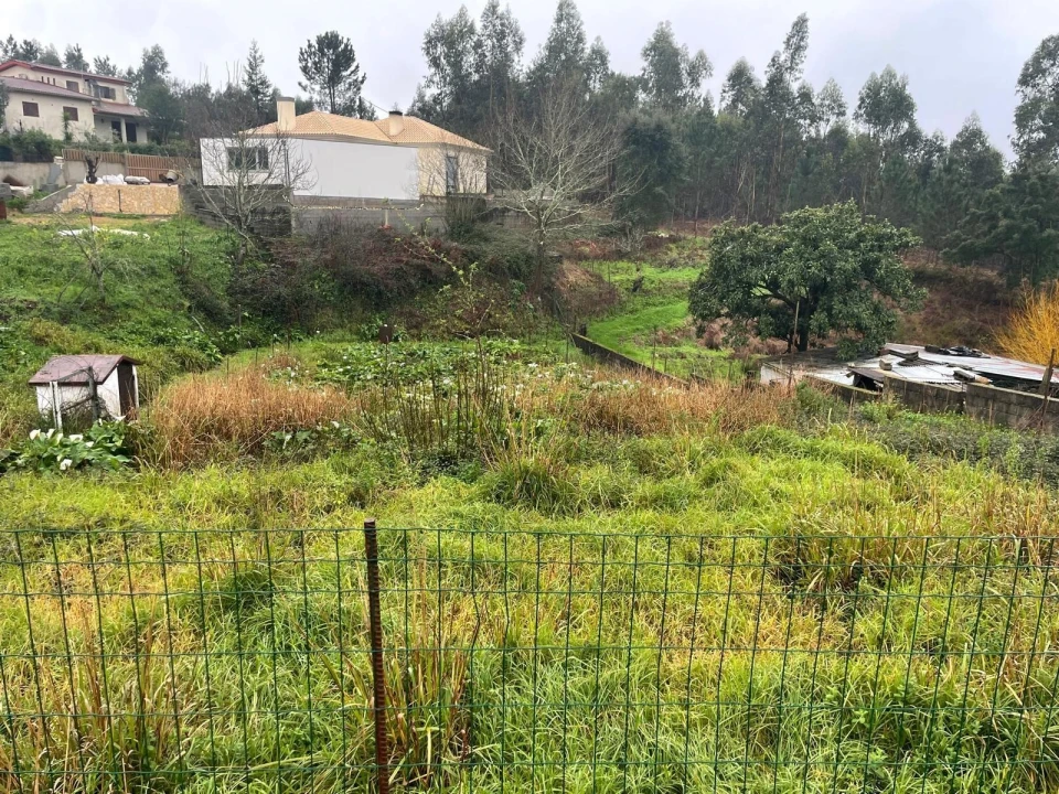 Terreno para Venda em Águeda e Borralha Foto 2