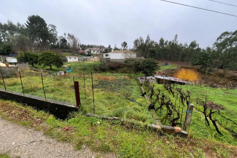 Terreno para Venda em Águeda e Borralha Foto 4