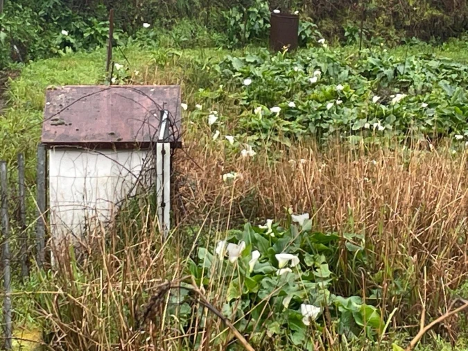 Terreno para Venda em Águeda e Borralha Foto 5
