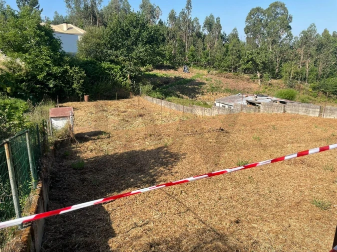 Terreno para Venda em Águeda e Borralha Foto 9