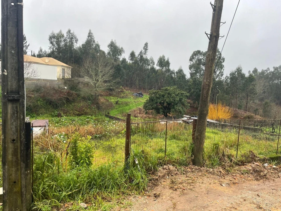 Terreno para Venda em Águeda e Borralha Foto 6