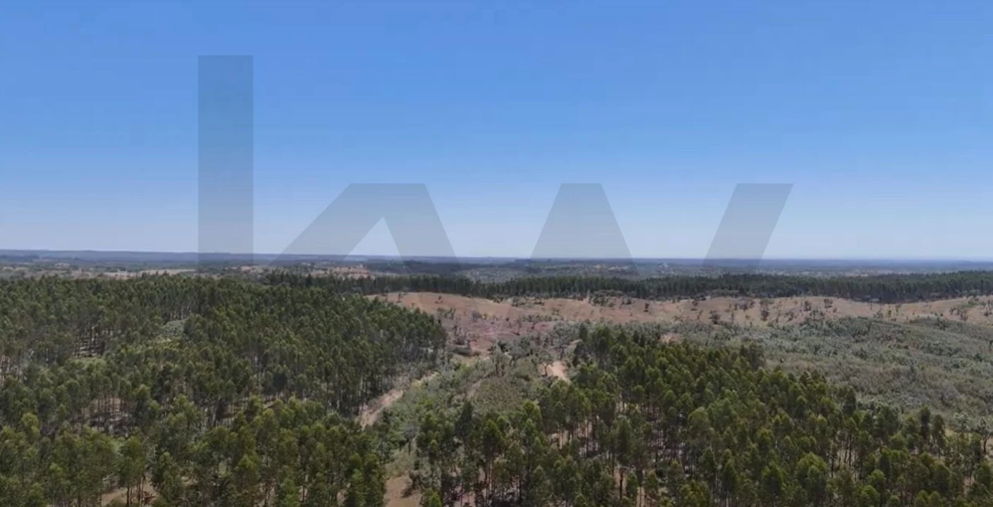 Terreno para Venda em Santiago do Cacém, Santa Cruz e São Bartolomeu da Serra Foto 16