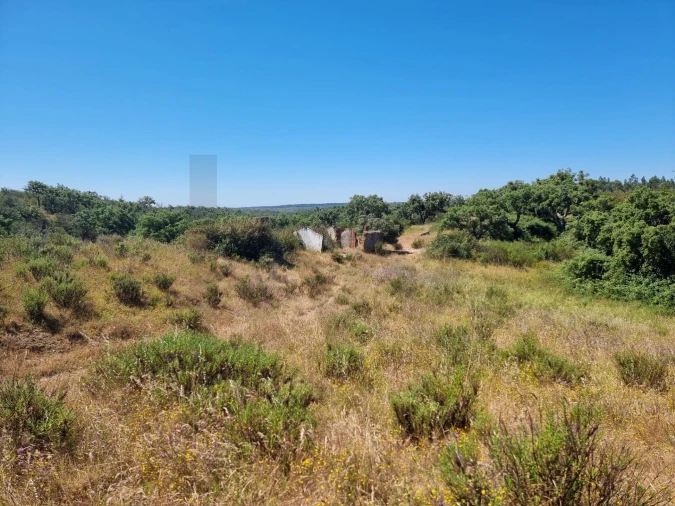 Terreno para Venda em Santiago do Cacém, Santa Cruz e São Bartolomeu da Serra Foto 29