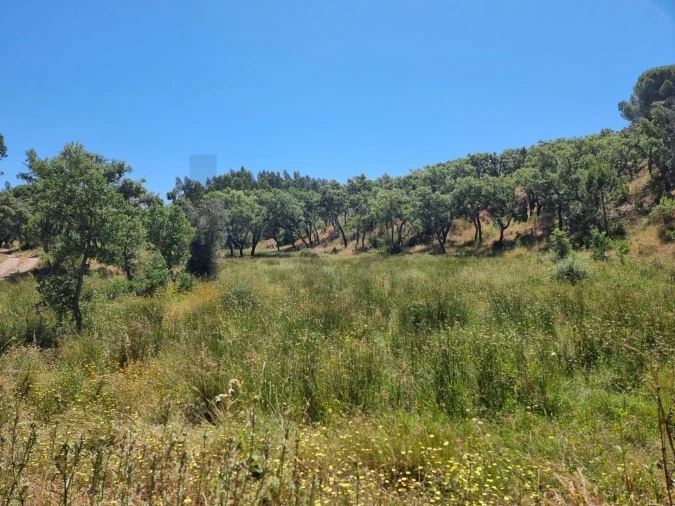 Terreno para Venda em Santiago do Cacém, Santa Cruz e São Bartolomeu da Serra Foto 13