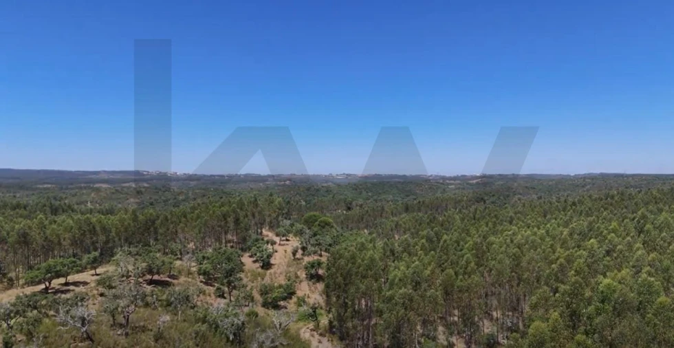 Terreno para Venda em Santiago do Cacém, Santa Cruz e São Bartolomeu da Serra Foto 17